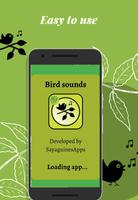 Bird sounds for tones poster