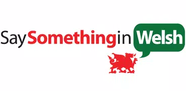 Say Something in Welsh