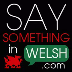 Say Something in Welsh アプリダウンロード