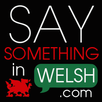 Say Something in Welsh APK