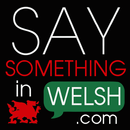 APK Say Something in Welsh