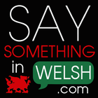 Say Something in Welsh 圖標