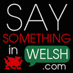 Say Something in Welsh