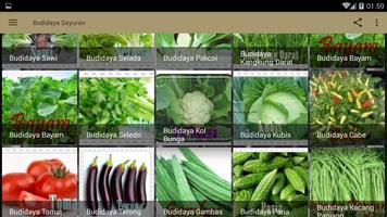 Budidaya Sayuran captura de pantalla 2