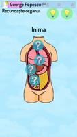 Anatomie si medicina 포스터