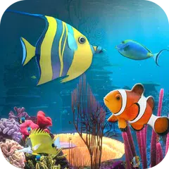 無料でコイ 魚 ライブ 壁紙 18 コイ 背景 Hd Apkアプリの最新版 Apk1 5をダウンロードー Android用 コイ 魚 ライブ 壁紙 18 コイ 背景 Hd Apk の最新バージョンをインストール Apkfab Com Jp