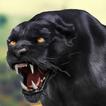Schwarzer Panther-tierangriff