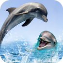 golfinhoviver papel de parede hd Plano de fundo APK