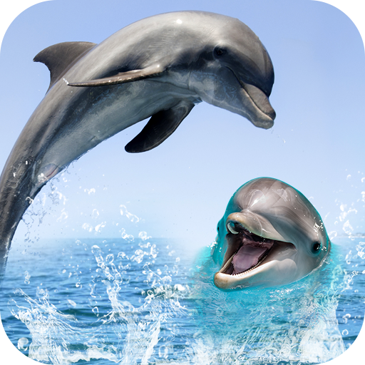 Dolphin Live Wallpaper 3D: HD Background 2018 APK  for Android –  Download Dolphin Live Wallpaper 3D: HD Background 2018 APK Latest Version  from 