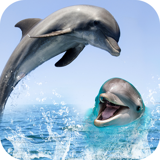 Dolphin Live Wallpaper 3D: HD Background 2018 APK for Android – Download Dolphin Live Wallpaper 3D: HD Background 2018 APK Latest Version from Dolphin Live Wallpaper 3D: HD Background 2018 APK for Android – Download Dolphin Live Wallpaper 3D: HD Background 2018 APK Latest Version from