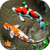 poisson vivre fond d'écran 3D aquarium koi étang icône