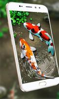 poisson vivre fond d'écran 3D aquarium koi étang Affiche