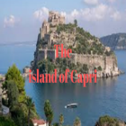The island of Capri . icône