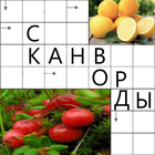 آیکون‌ Сканворды легкие без интернета