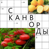 Сканворды легкие без интернета ไอคอน
