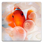 Underwater World Wallpapers! icon