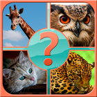 Guess the Animal-icoon