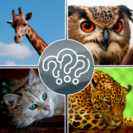 Guess the Animal