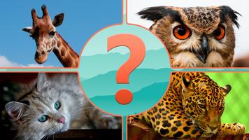 Guess the Animal-poster
