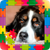 Les puzzles le jeu APK