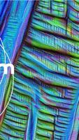 DeepDreams Ai Advice ảnh chụp màn hình 2