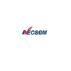 NECSOM Surveyor icône
