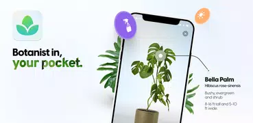 Plant App - Pflanzenfinder