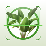 PlantApp - Plant Identifier