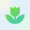 Plant App - 植物識別子