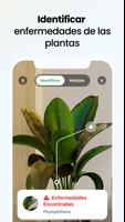 Plant App - Buscador de Planta captura de pantalla 2