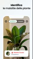 2 Schermata Plant App - Trova Piante