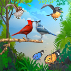 Flying Bird Sorting Puzzle icon