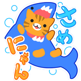 さめにゃん иконка