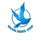 BLUE BIRD UDP icône