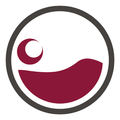 WineTonight