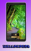 Scenes beauty awesome nature Wallpaper poster