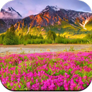 Scenery Wallpaper HD APK