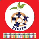 Roots Abacus
