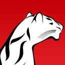 PS89 The Williamsbridge School APK