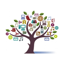 PS7 Milton Fein School APK