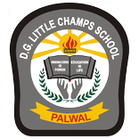 D.G LITTLE CHAMPS SCHOOL