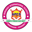 Bhrungy International School