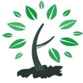Greenzone Academy
