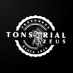 Tonsorial Zeus ícone