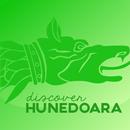 Discover Hunedoara APK