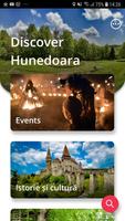 Discover Hunedoara Plakat