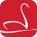 Schwan