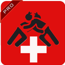 Schwingen WLP PRO APK