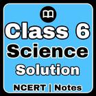 Class 6 Science Notes English icône