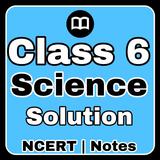 Class 6 Science Notes English icône
